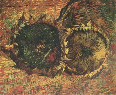 Vincent Van Gogh Two Cut Sunflowers (nn04)